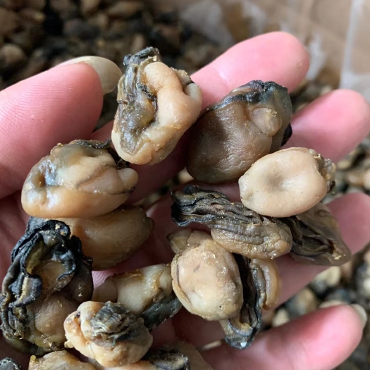 饶平县汫洲大蚝干