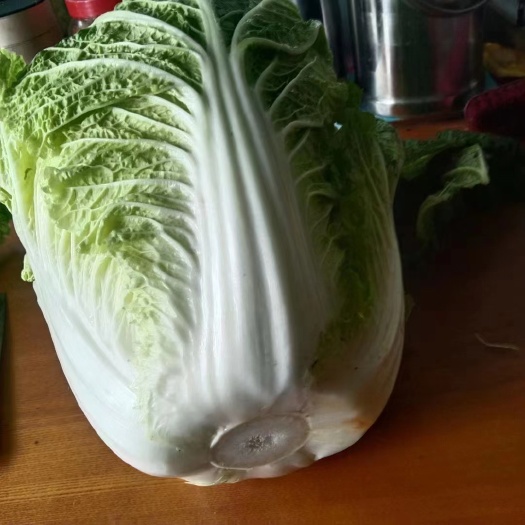 黄心白菜，大量长期供货