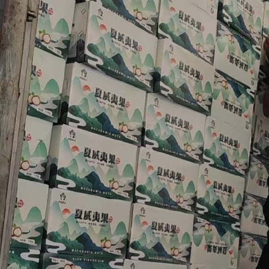 广州夏威夷果