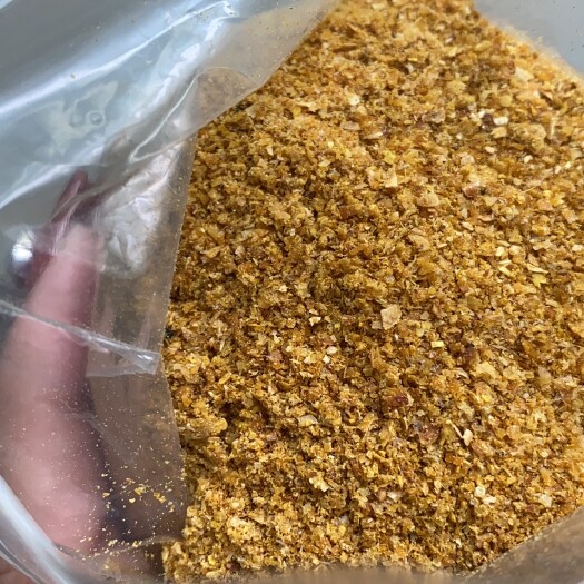正定县玉米酒糟