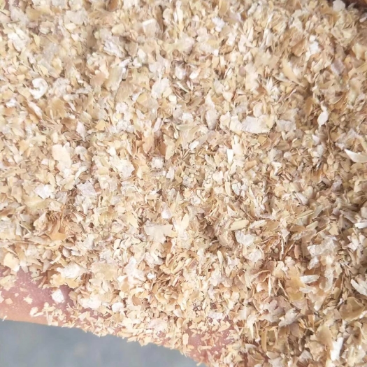 正定县小麦麸皮