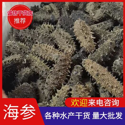 日照海参干 大连海参 干海参 大连辽刺参海参 泡发口感好