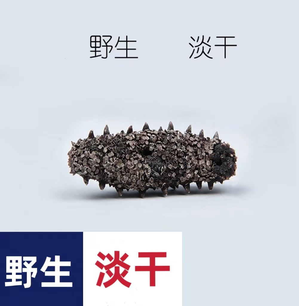 长海县【大连发货】淡干海参500克袋装淡干辽刺参多规格可选包邮