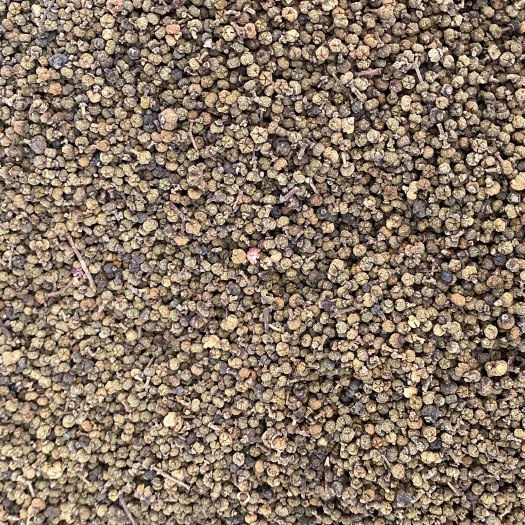 亳州吴茱萸