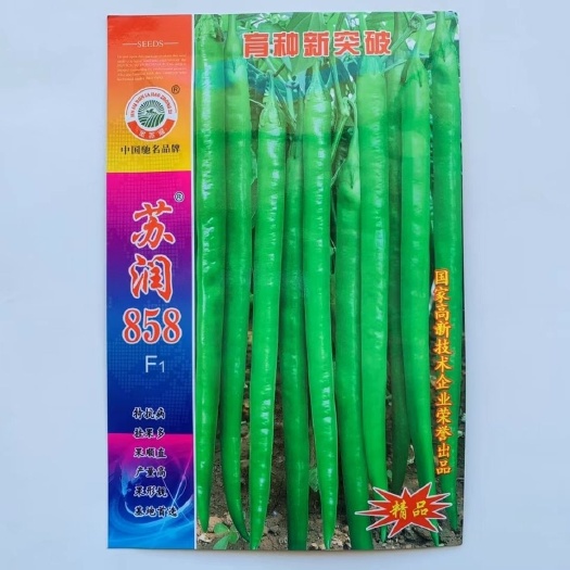 淮安苏润线椒种子苏润858辣椒种子 一代杂交高产优质良种抗病基地