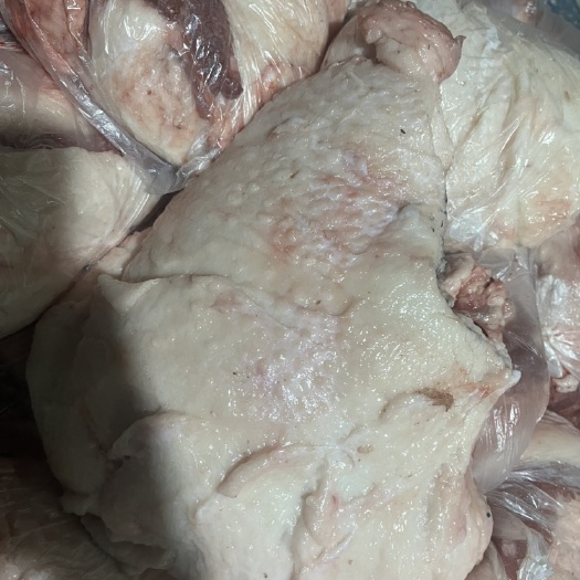 去皮槽头 鲜冻上市 做鲜肉 好用 包子店馄炖质量杠杠的
