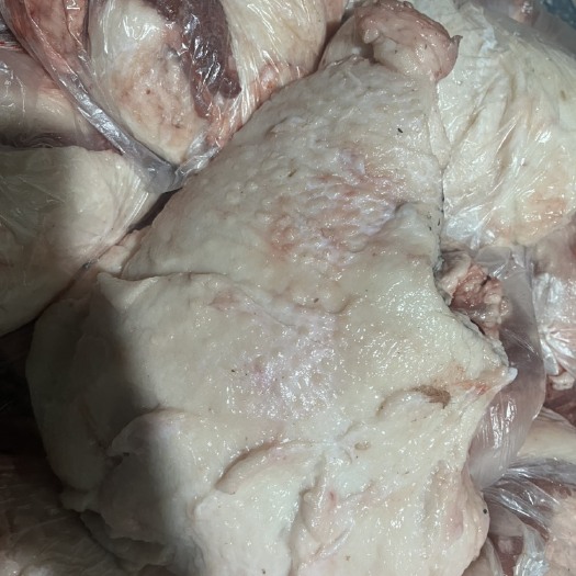 重庆市去皮槽头 鲜冻上市 做鲜肉 好用 包子店馄炖质量杠杠的