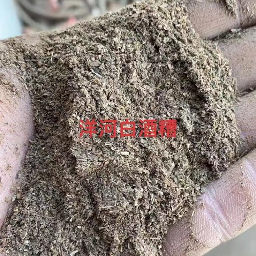 广州洋河白酒糟