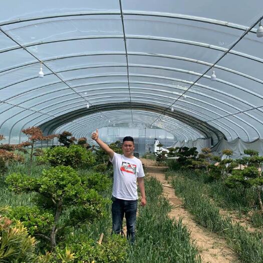 沭阳县养殖大棚，种植大棚。