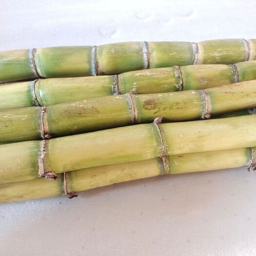温州现砍浙江黄皮甘蔗脆甜黄