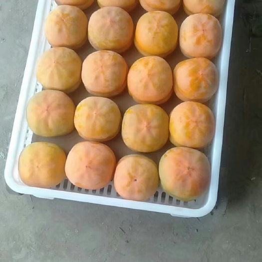 易县磨盘柿2毛-8毛，想挣钱的老板抓紧联系我，长期大量有货