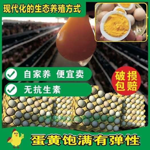 绿壳蛋  【鸡场直供】绿壳鸡蛋粉蛋鲜鸡蛋！自养自销
