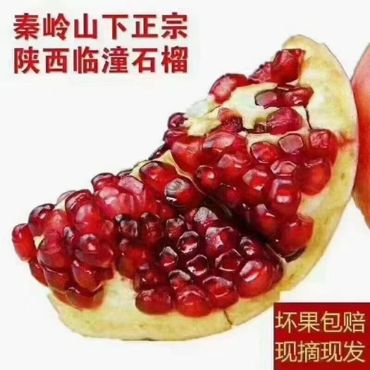 西安临潼石榴