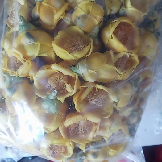 亳州正品金花茶天然无硫可泡茶