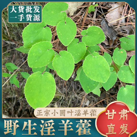 陇南【甘肃发货】小叶淫羊藿中药材淫羊藿仙灵脾道地药材无硫淫羊藿