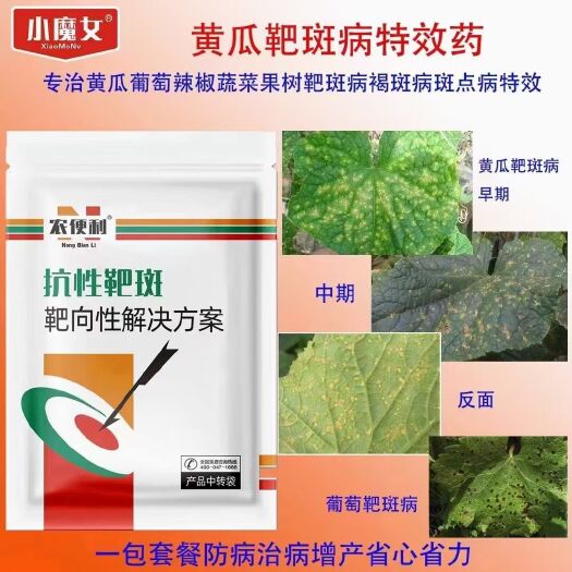 柘城县靶斑​精准靶向 双向传导 高效