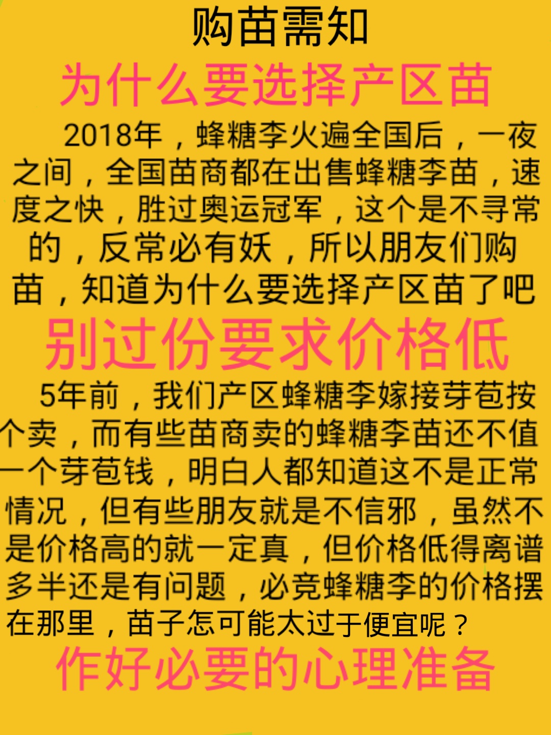 李子苗 蜂糖李苗 贵州蜂糖李苗 味帝李苗