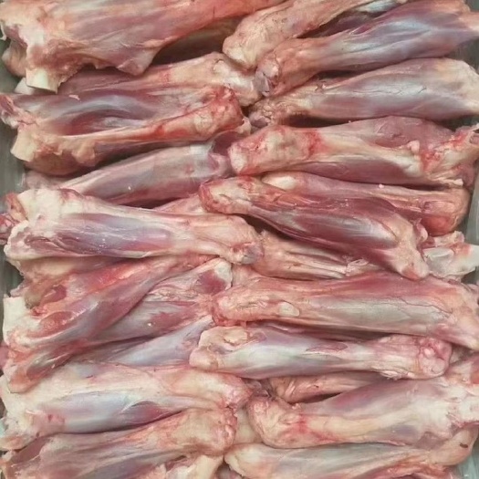 福州包邮羊前棒批发 羔羊前腱 羊前棒羊小腿20斤带肉羊棒骨子清真