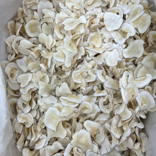 广州泰国无硫椰片 香味十足