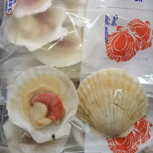深圳扇贝，白壳扇贝，烧烤海鲜，白贝，厂家直销