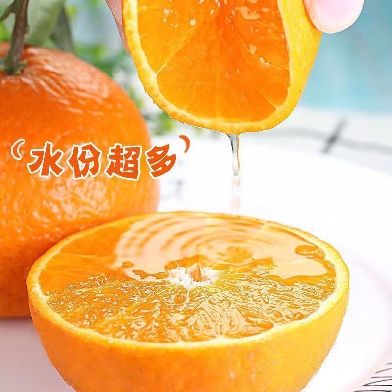 爱媛38果冻橙。蕞低活动批发价。没有中间环节