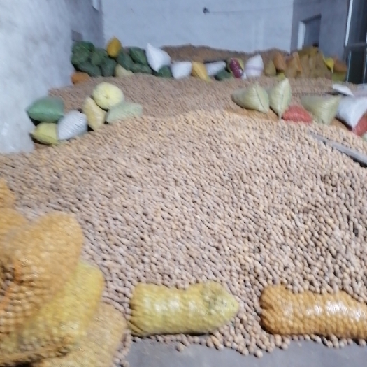 吕梁吕梁山核桃
