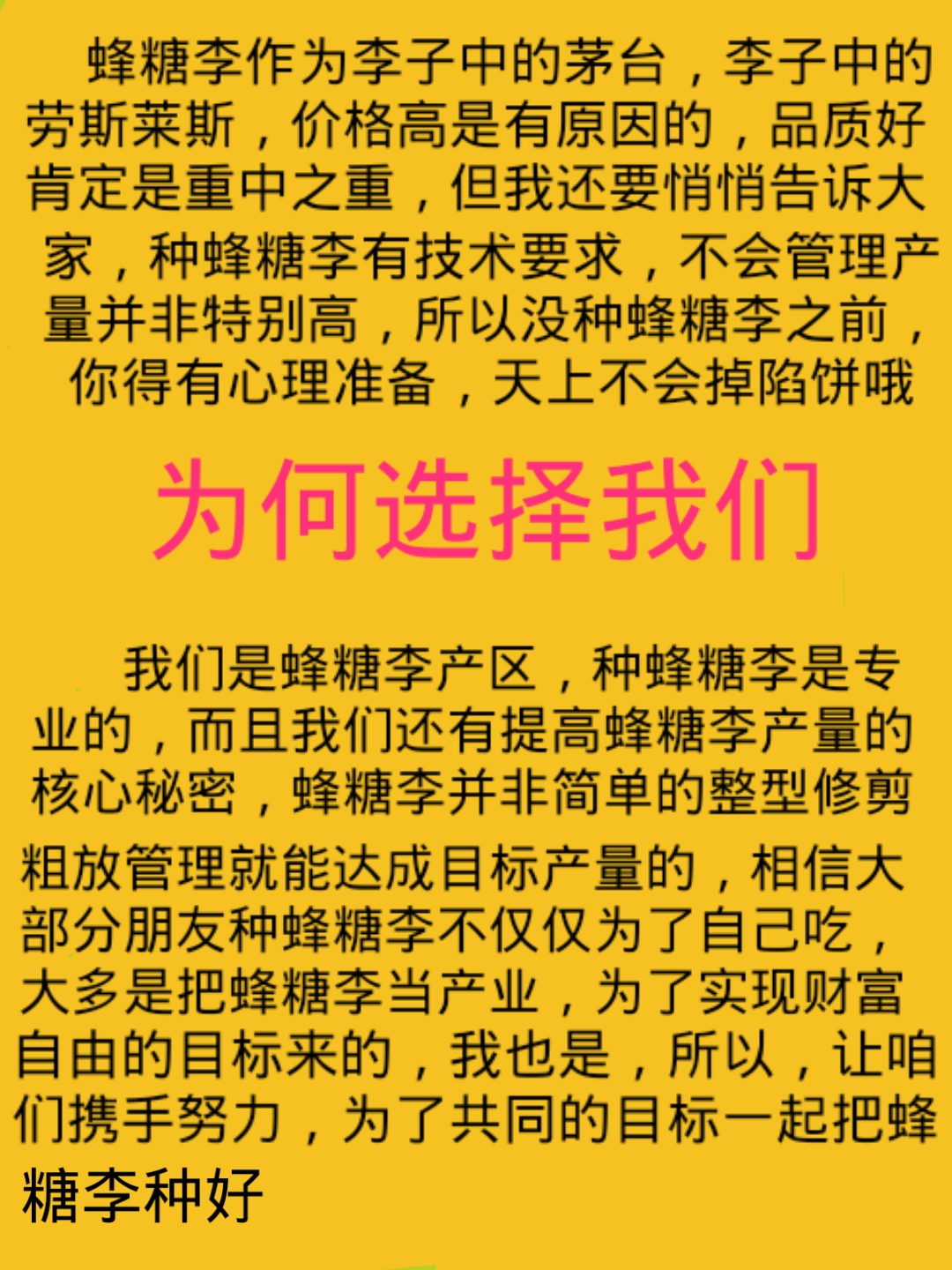 李子苗 蜂糖李苗 贵州蜂糖李苗 味帝李苗