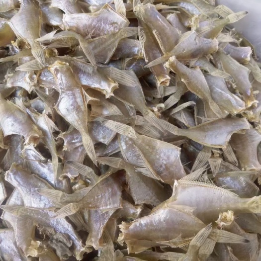 日照剥皮鱼干 淡干迪仔鱼干风干小鱼干软骨无小刺