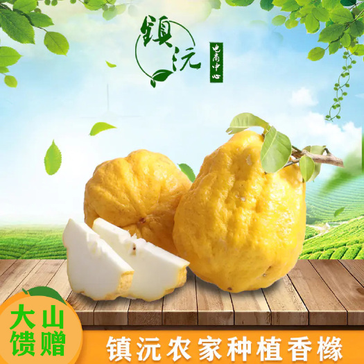 云南香橼镇沅农户种植新鲜佛手清香供果闻香哀牢山基地批发