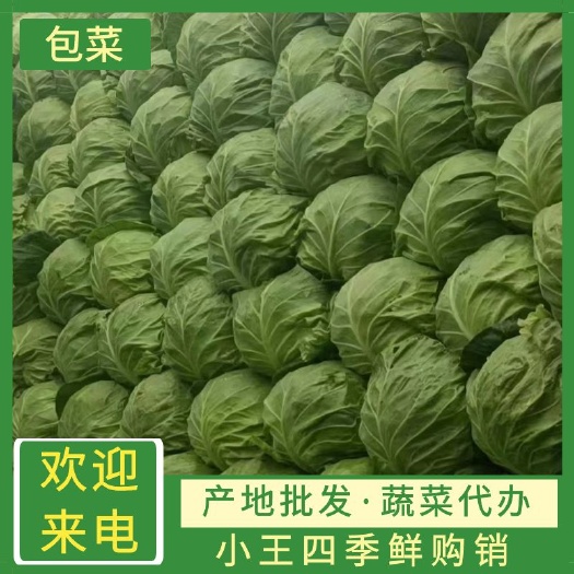 邯郸中甘系列
