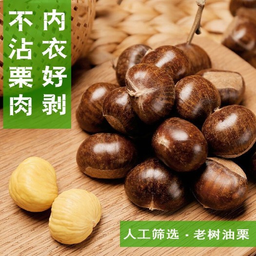 遵化市遵化中期老树大标