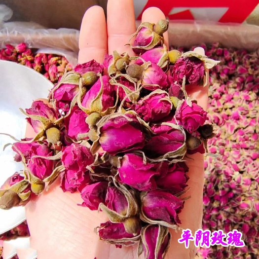 玫瑰花茶 金边玫瑰平阴玫瑰金边玫瑰苦水玫瑰墨红玫瑰法兰西玫瑰
