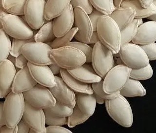 商都县光板葫芦籽（非种子），亲种亲收，优质量多，欢迎购买，随时联系