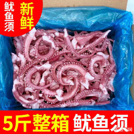 连云港鱿鱼须新鲜章鱼足鱿鱼八爪鱼生鲜海鲜水产火锅烧烤食材更新时间