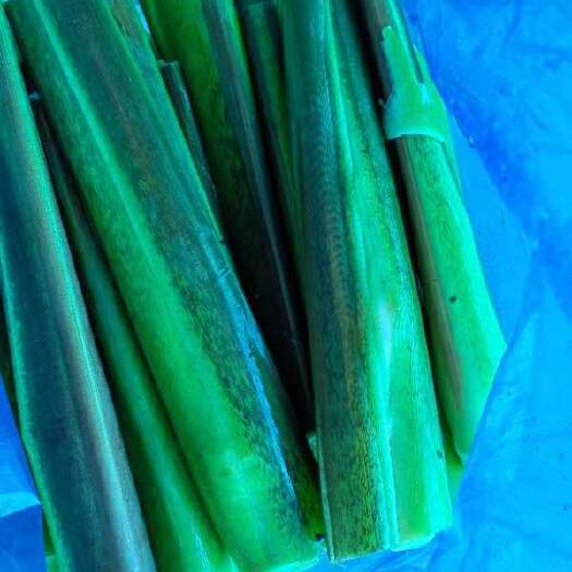 曲靖我种植了200亩茭白，100亩茨菇，10亩莲藕
