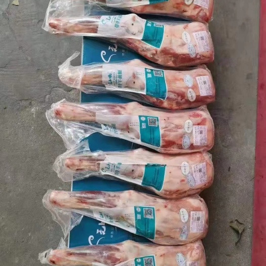 永登县3斤羔羊前腿，精修，烧烤专用，