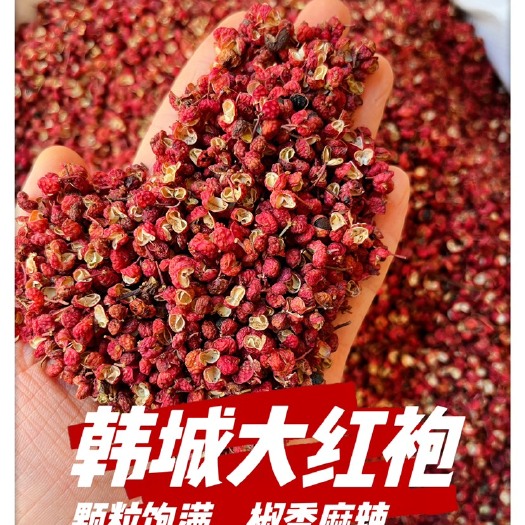 特级韩城花椒大红袍麻椒家用商用烧烤火锅底料批发零售