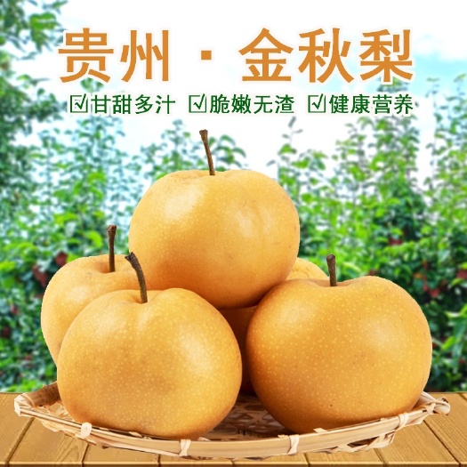 修文县金秋梨 【一件代发】贵州修文金秋梨