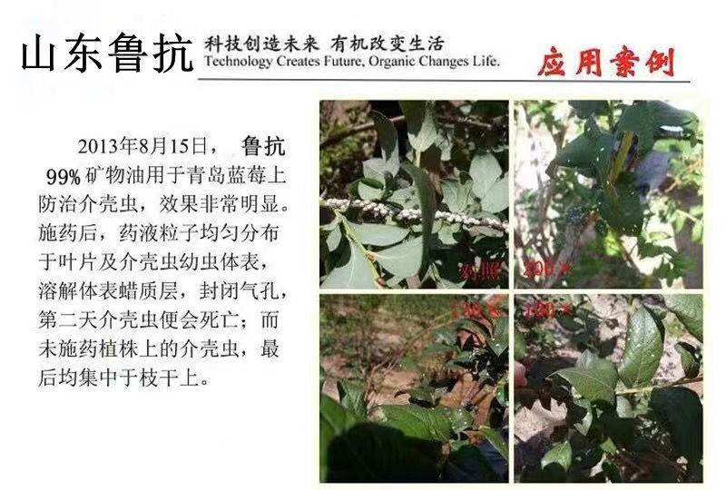 99%礦物油柑橘紅蜘蛛介殼蟲粉虱果樹清園劑農(nóng)藥殺螨殺蟲劑魯抗