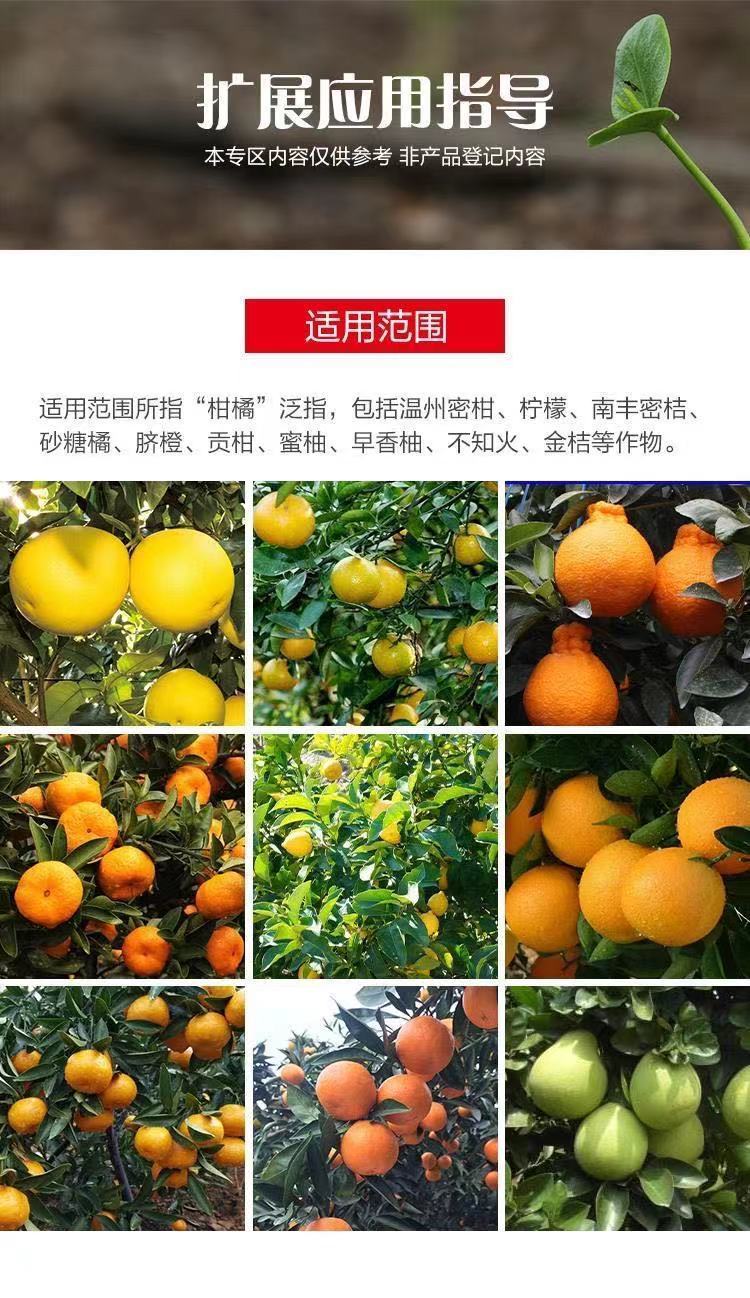 99%礦物油柑橘紅蜘蛛介殼蟲粉虱果樹清園劑農(nóng)藥殺螨殺蟲劑魯抗