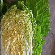 新民市包心菜，黄心菜，代收，代办