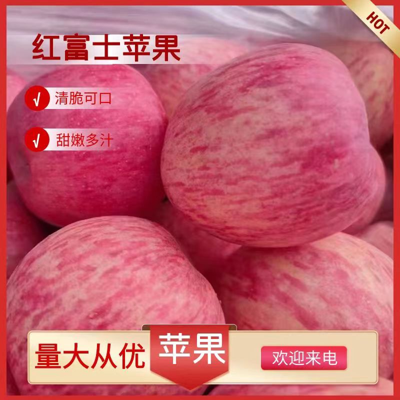 烟台苹果【产地直发】新鲜红富士