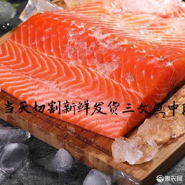 冰鲜三文鱼中段新鲜刺身拼盘即食海鲜三文鱼生鱼片冰鲜三文鱼