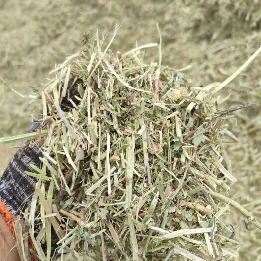 新蔡县花生秧 小麦秸秆  花生秧叶粉 牛羊草料大量供应质量好