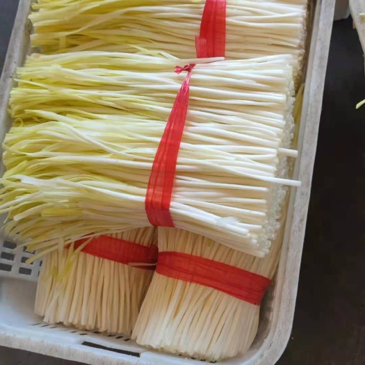 佛山韭黄