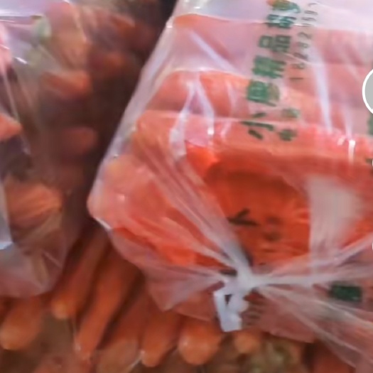 大荔县优质大荔红萝卜需要的联系，支持一件代发。