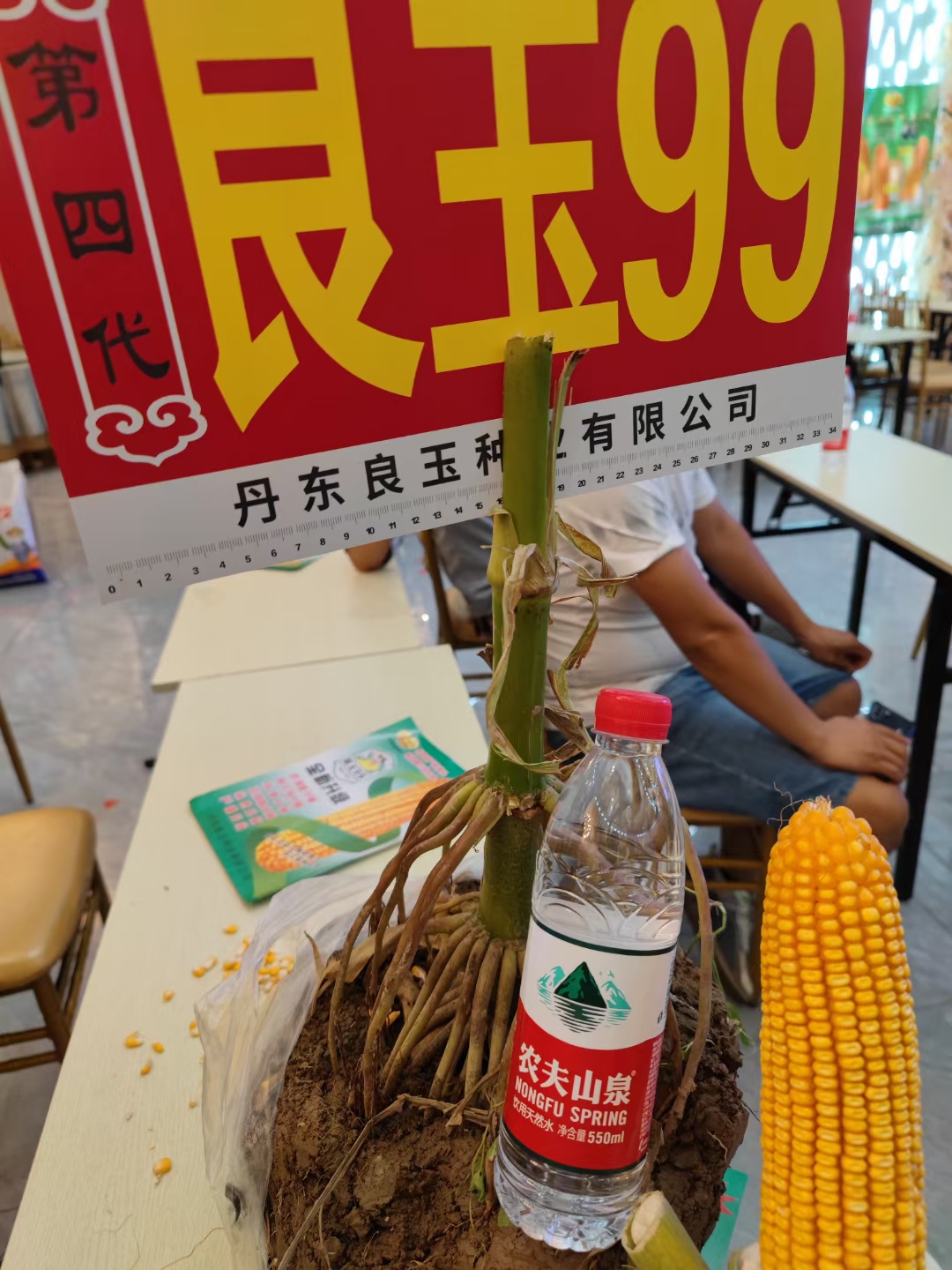 抗虫版良玉99玉米种子 丹东良玉99