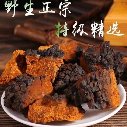 亳州桦树茸 长白山天然桦树茸 桦褐孔菌 白桦茸黑金颗粒