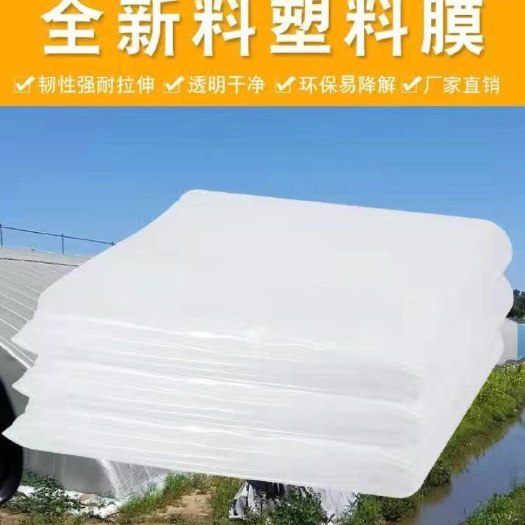 沭阳县普通白膜高清透明覆盖防尘农作物遮雨