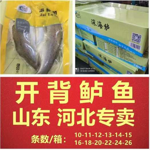 济南三去开背海鲈鱼
